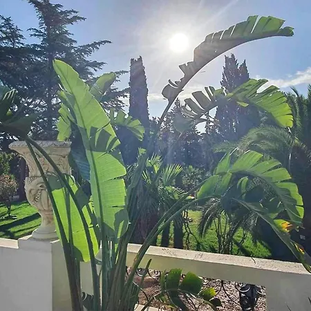 Awesome In Saint-raphael With Kitchen Appartement *